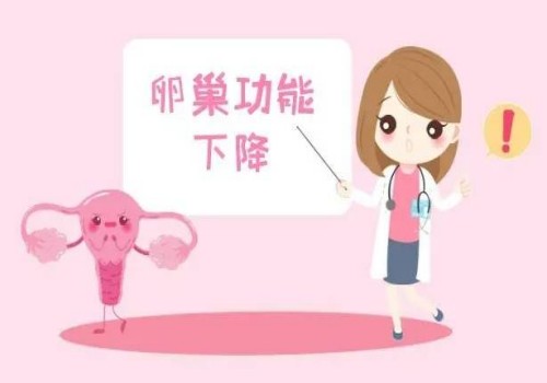 上海供卵：﻿提高囊胚移植成功率，这三个方法不能忽视